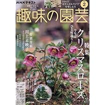 園芸ガイド 2026年 01 月冬号 | 園芸ガイド編集部 |本 | 通販 | Amazon